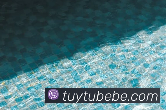 kaiyun体育平台生态图